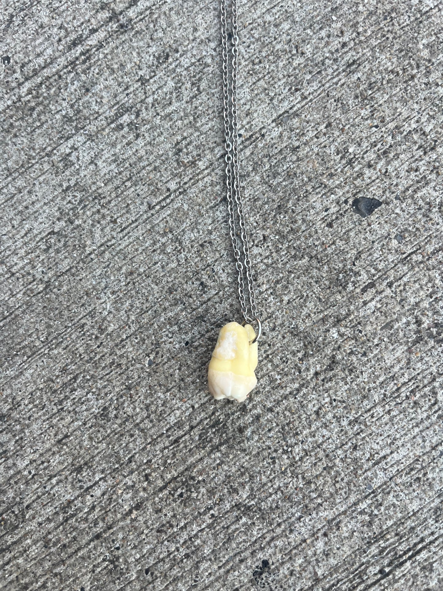 Human Tooth Necklace (#4)
