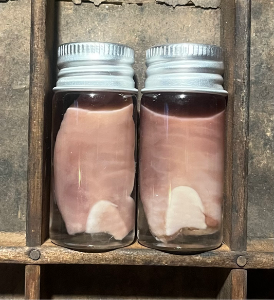 English Lop Rabbit Tongue Wet Specimen Vial