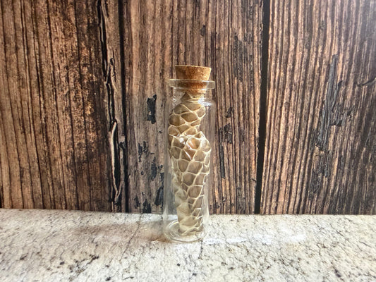 Snake Shed Curio Vial (Cork)