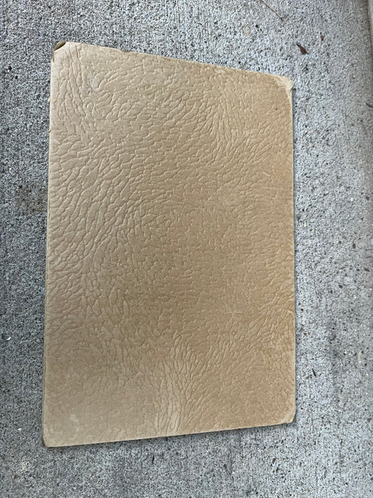 Antique Little Girl Cabinet Card