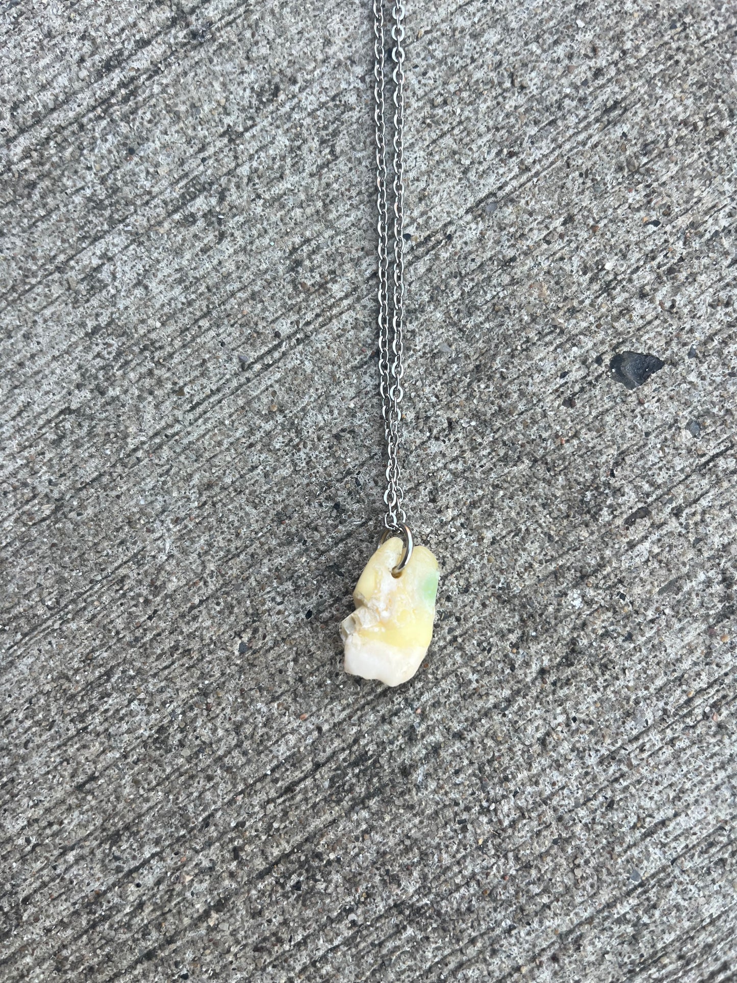 Human Tooth Necklace (#4)