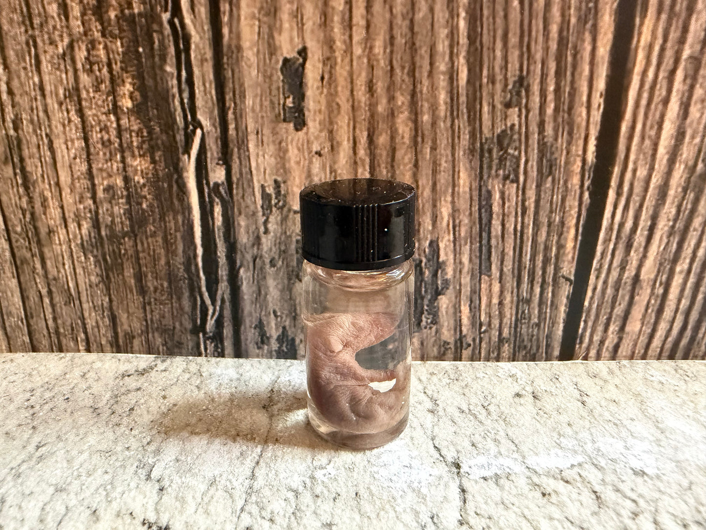 Pinky Mouse Wet Specimen Vial