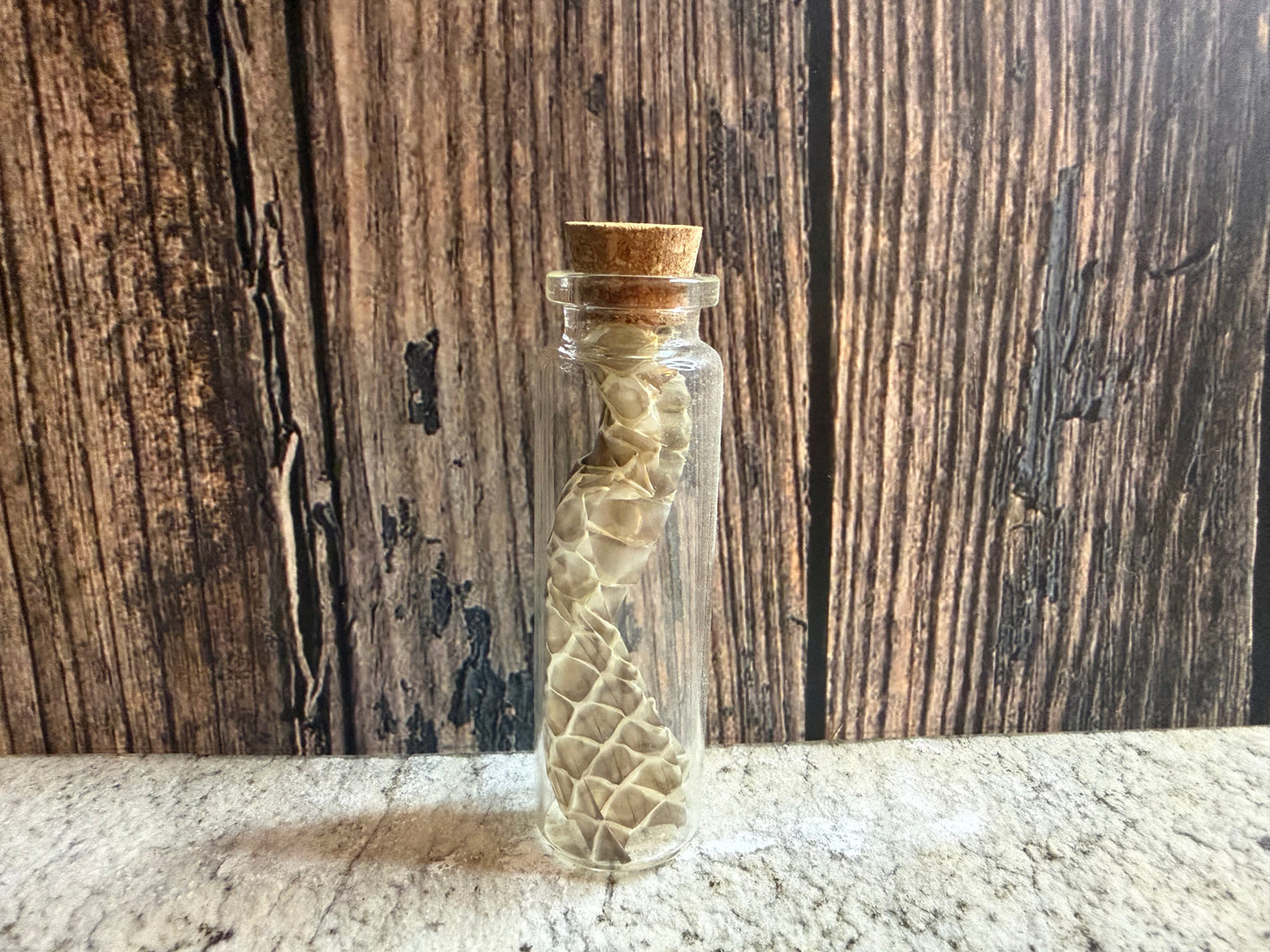 Snake Shed Curio Vial (Cork)