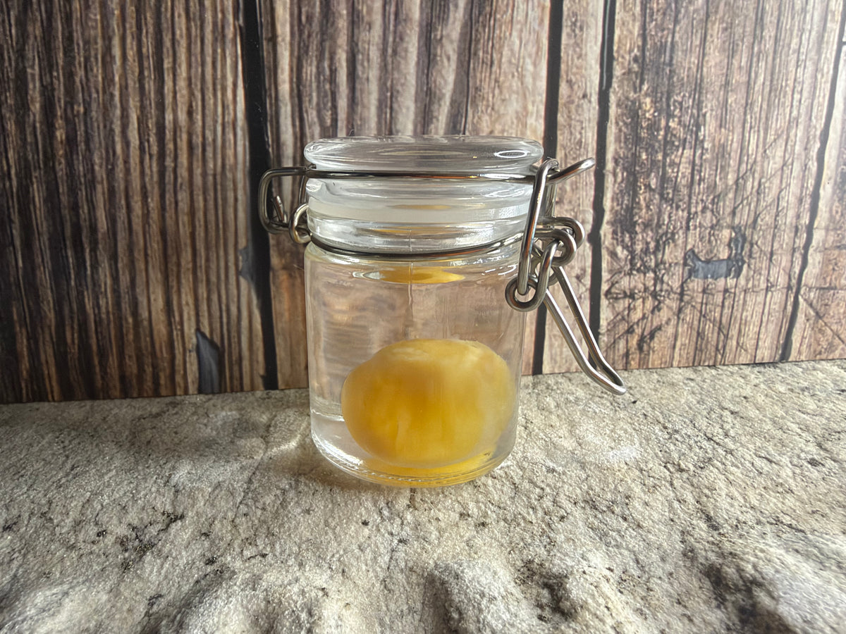Western Diamondback Rattlesnake Egg Specimen