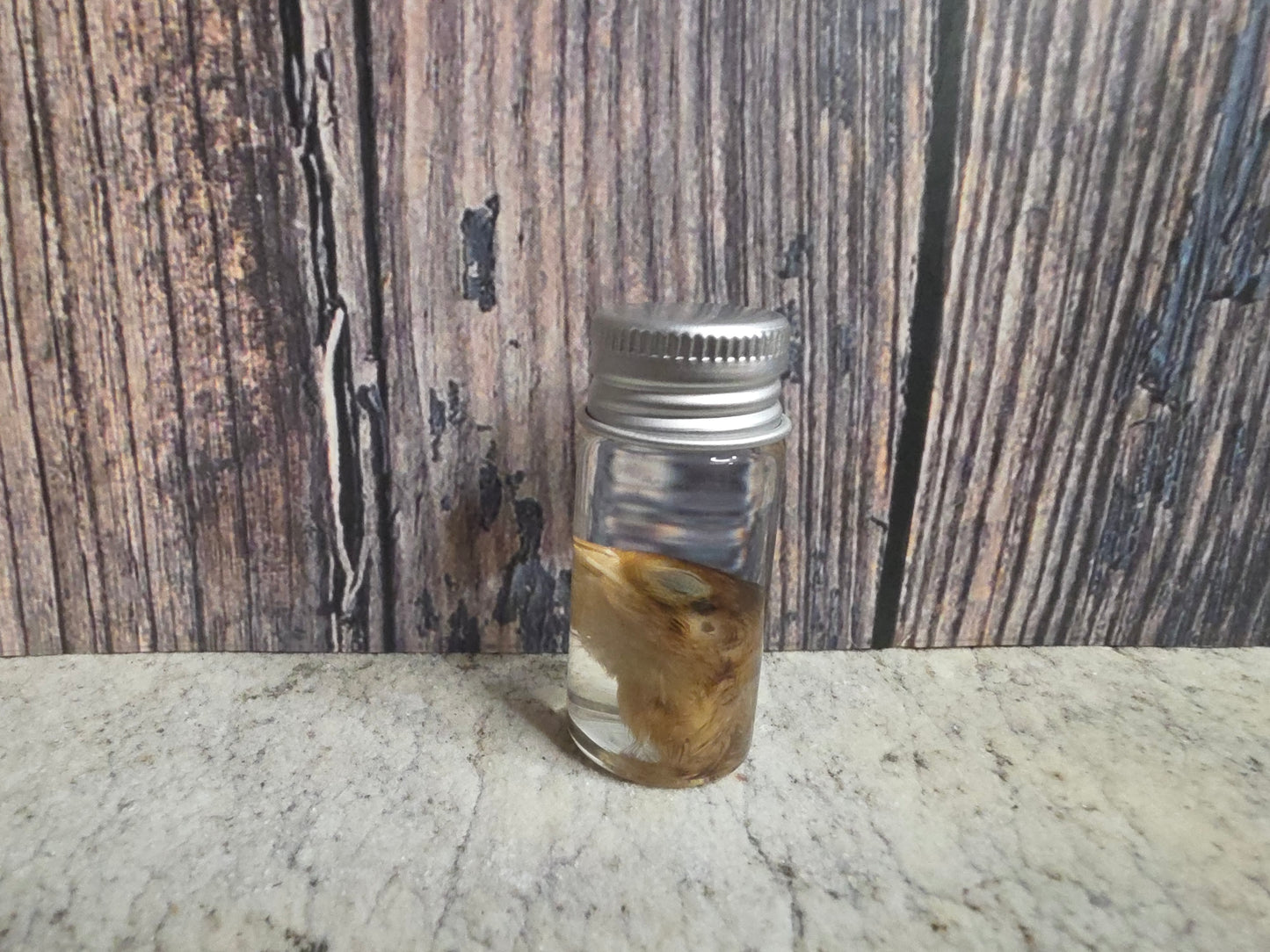 Quail Head Wet Specimen Vial