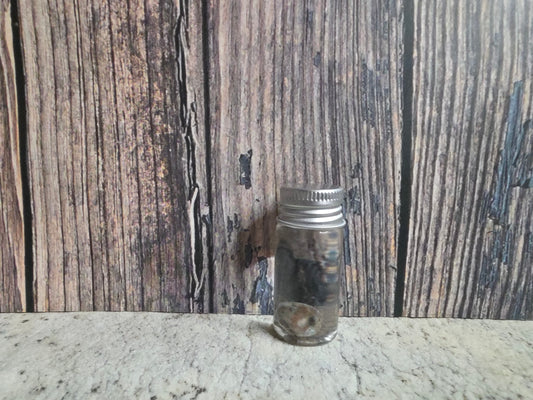 Squirrel Eyeball Wet Specimen