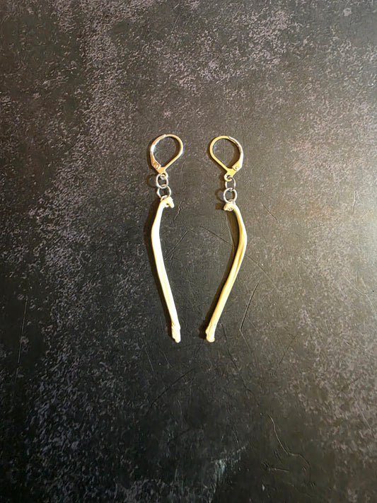 Mink Baculum Earrings