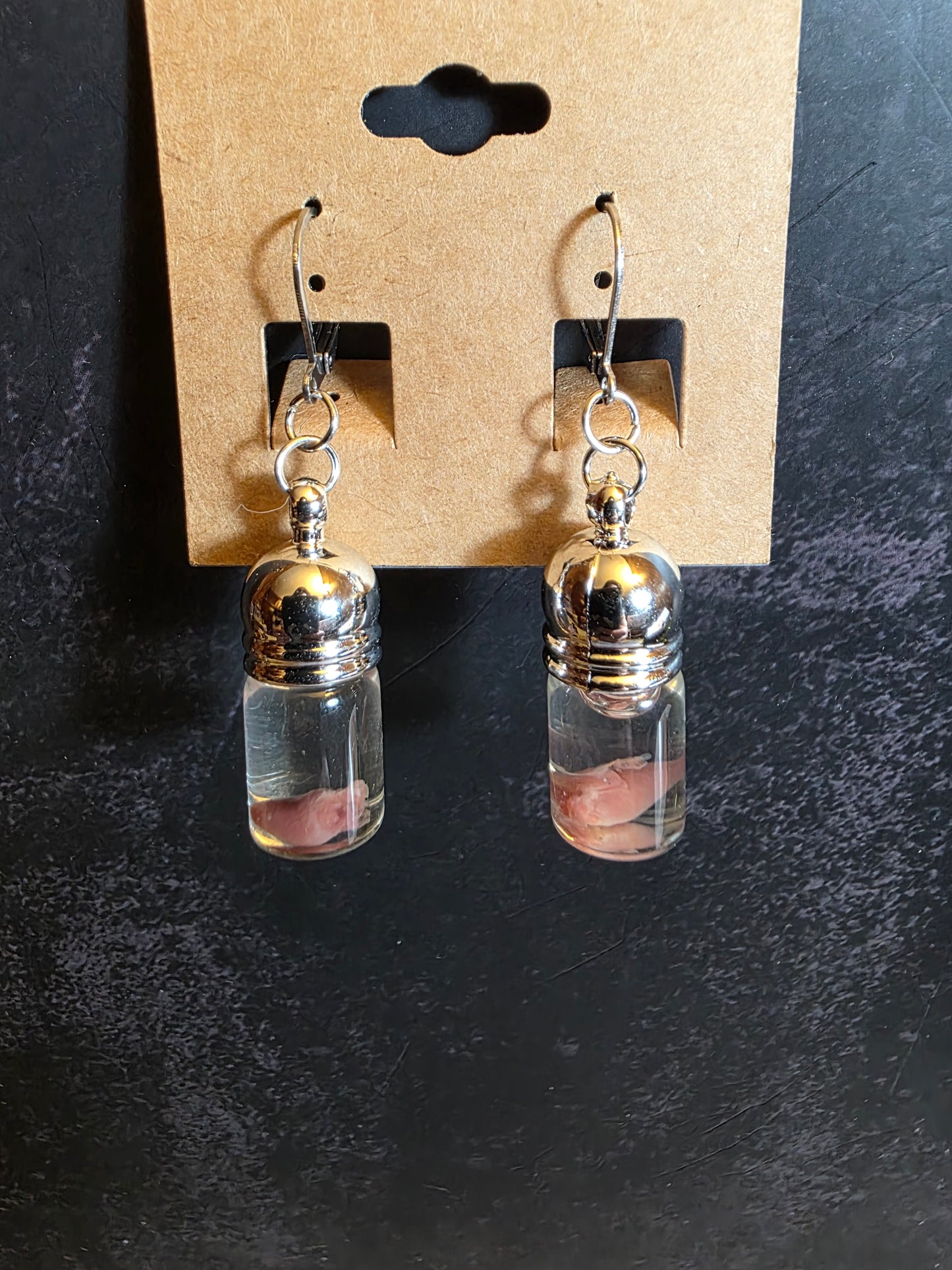Quail Heart Wet Specimen Earrings