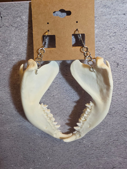 Virginia Opossum Jawbone Earrings
