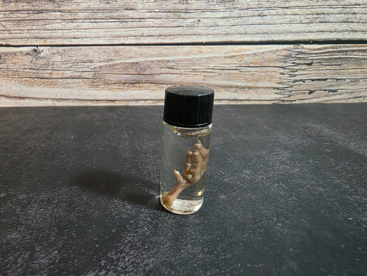 Tiny Quail Foot Curio Vial