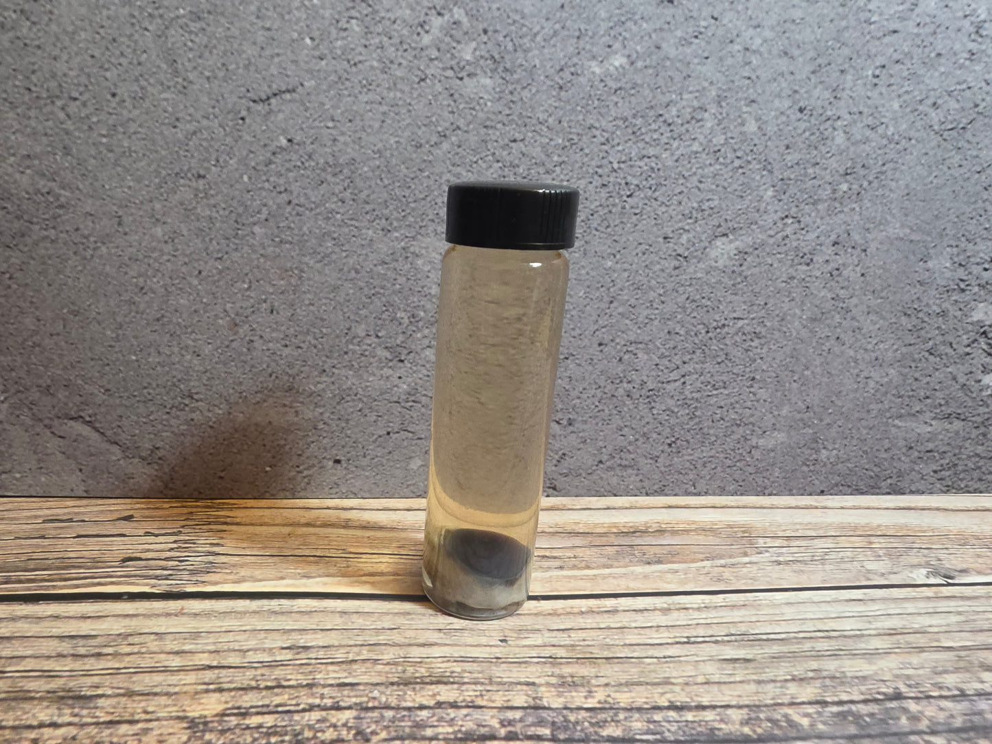 Grey Tortiseshell Cat Eyeball Wet Specimen