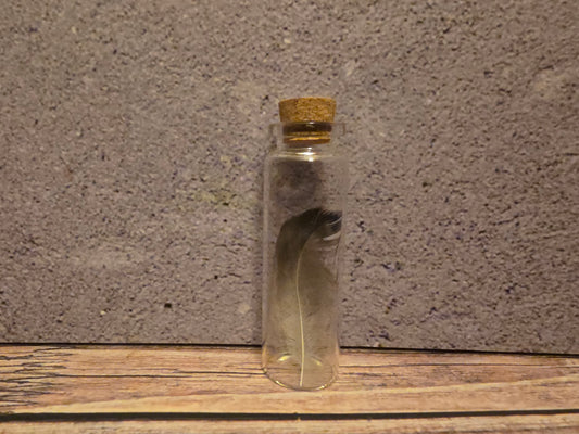 Carrion Crow Feather Curio Vial