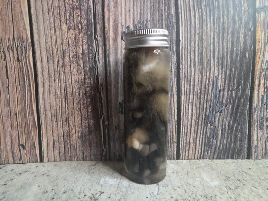 Brindle Tabby Cat Paw Wet Specimen