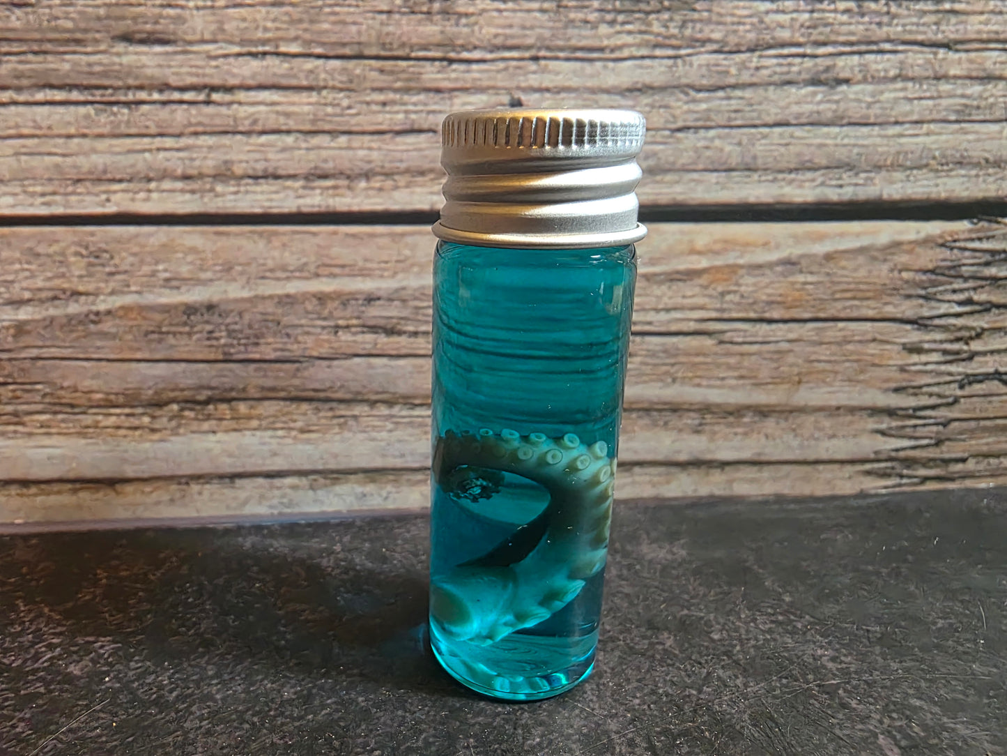 Octopus Tentacle Wet Specimen (Colors)