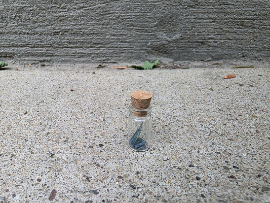 Vivianite "Corpse Crystal" Curio Vial