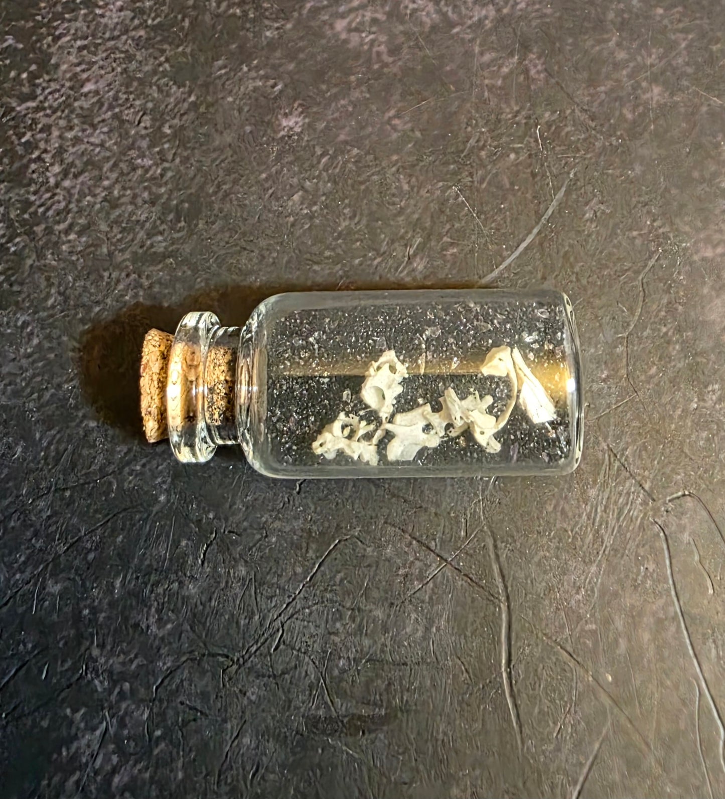 Gravedigger's Fidget Bone Curio Vial