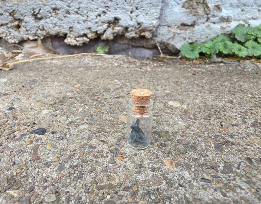 Vivianite "Corpse Crystal" Curio Vial