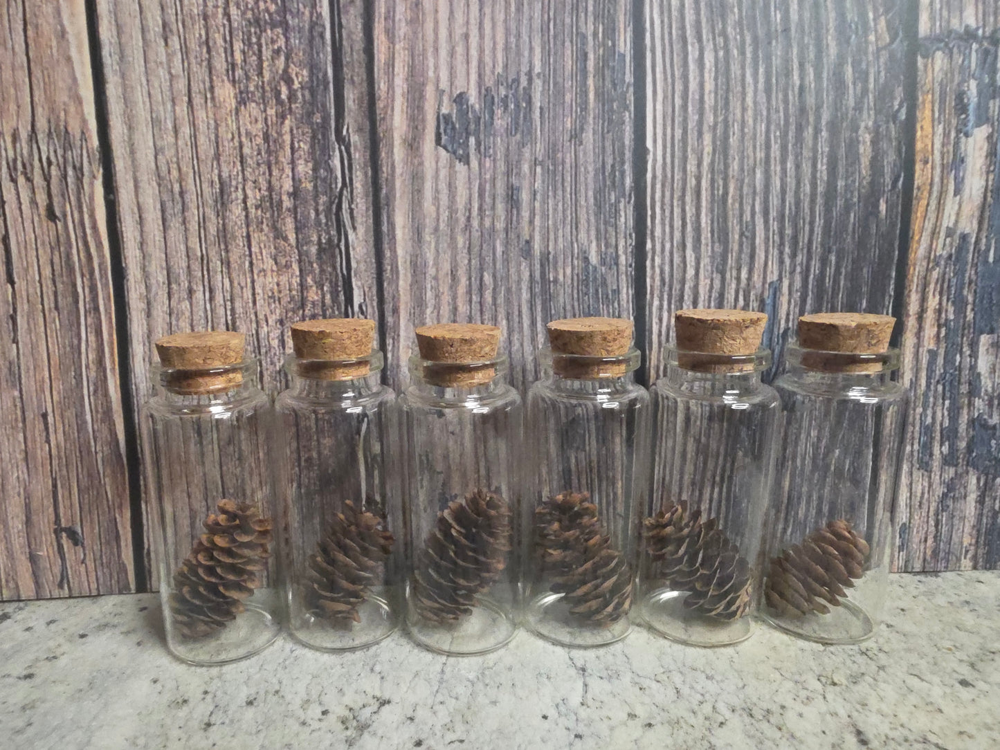'Spirit of the Forest' Pinecone Curio Vial