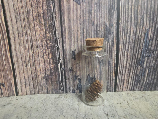 'Spirit of the Forest' Pinecone Curio Vial