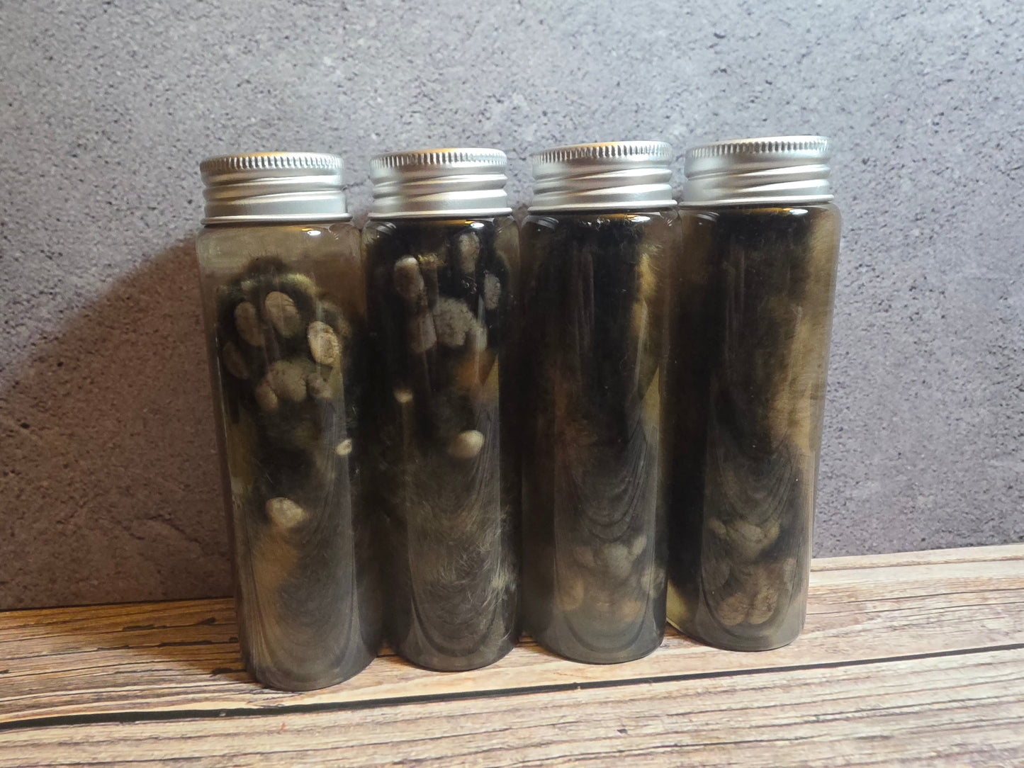 Grey Tortiseshell Cat Paw Wet Specimen