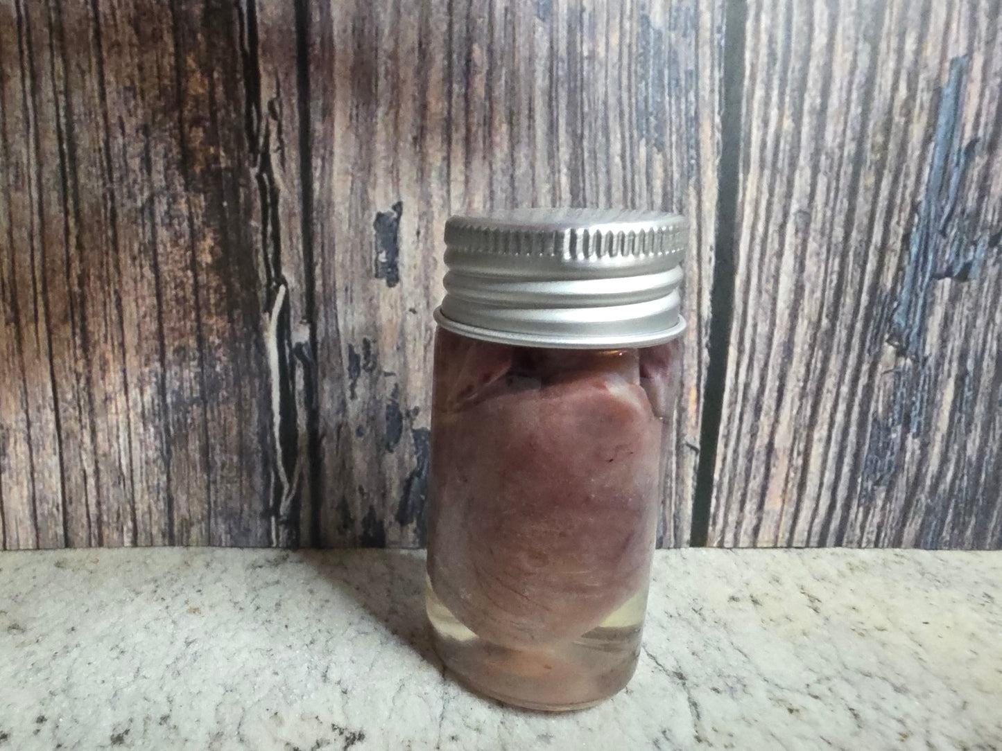 Imperfect Virginia Opossum Heart Wet Specimen (#1)