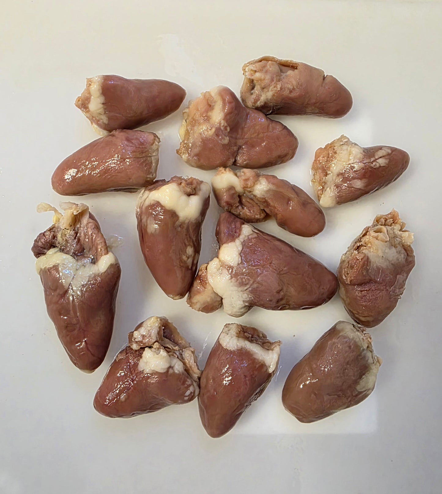 Wholesale (On Demand): Chicken Heart Wet Specimen