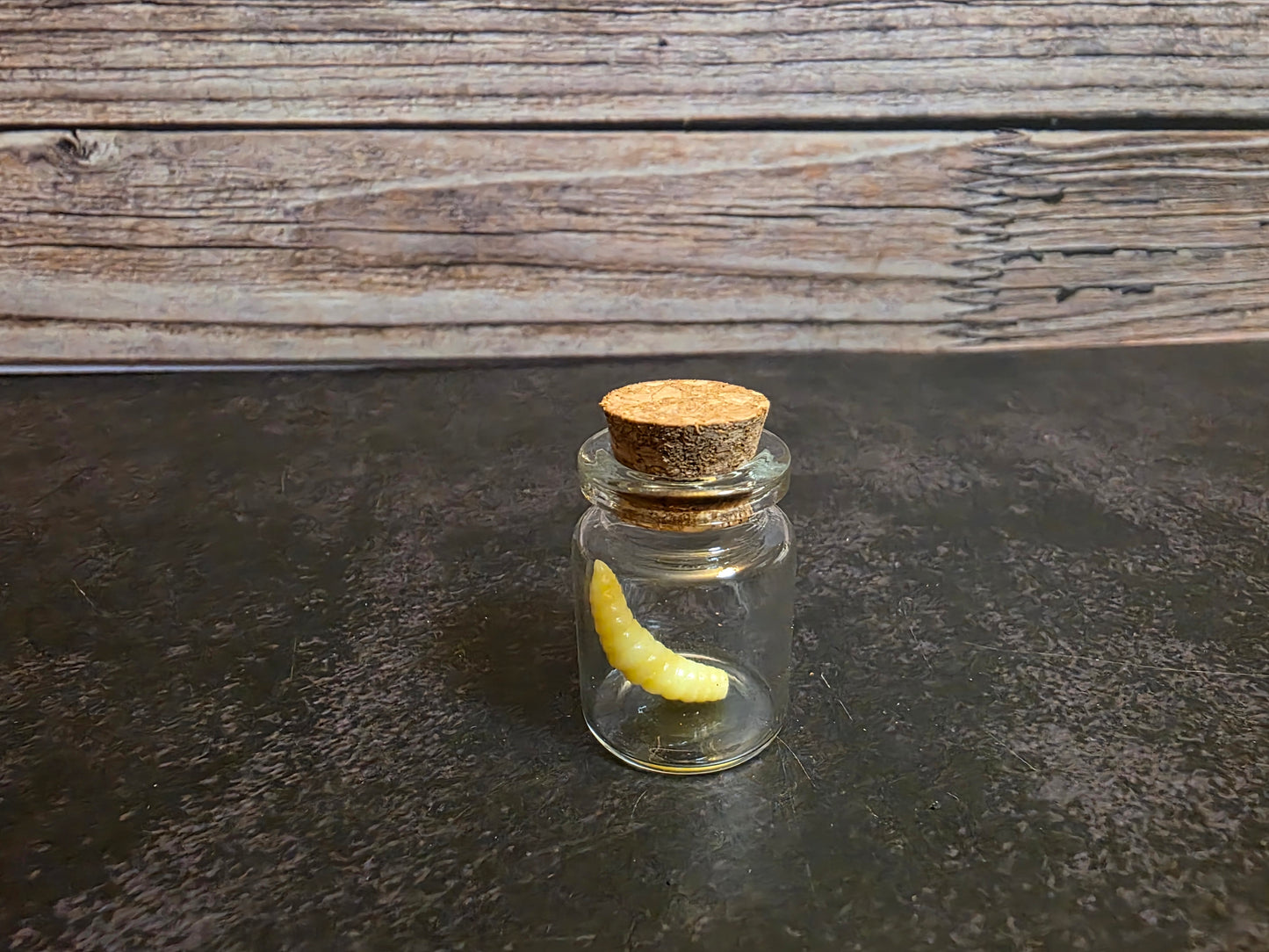 Faux Maggot Curio Vial