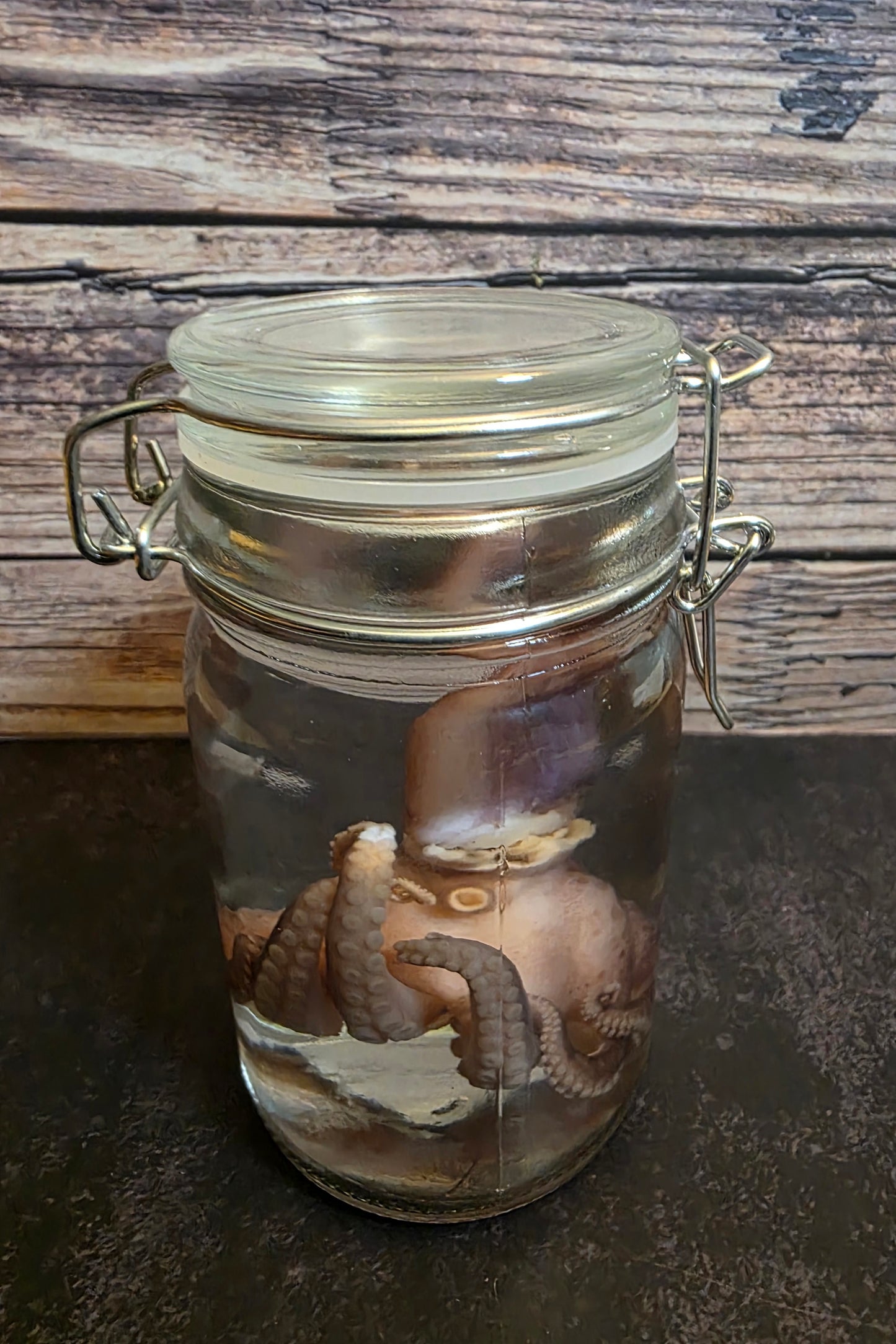 Octopus Wet Specimen