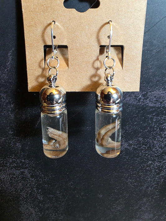 Baba Yaga's Quail Feet Wet Specimen Earrings