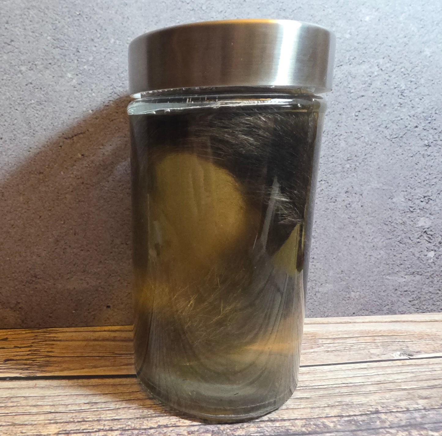 Grey Tortiseshell Cat Tail Wet Specimen