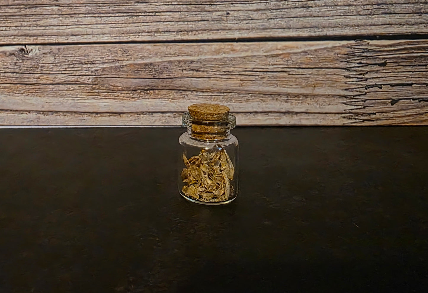 Juvenile Catfish Bones Curio Vial