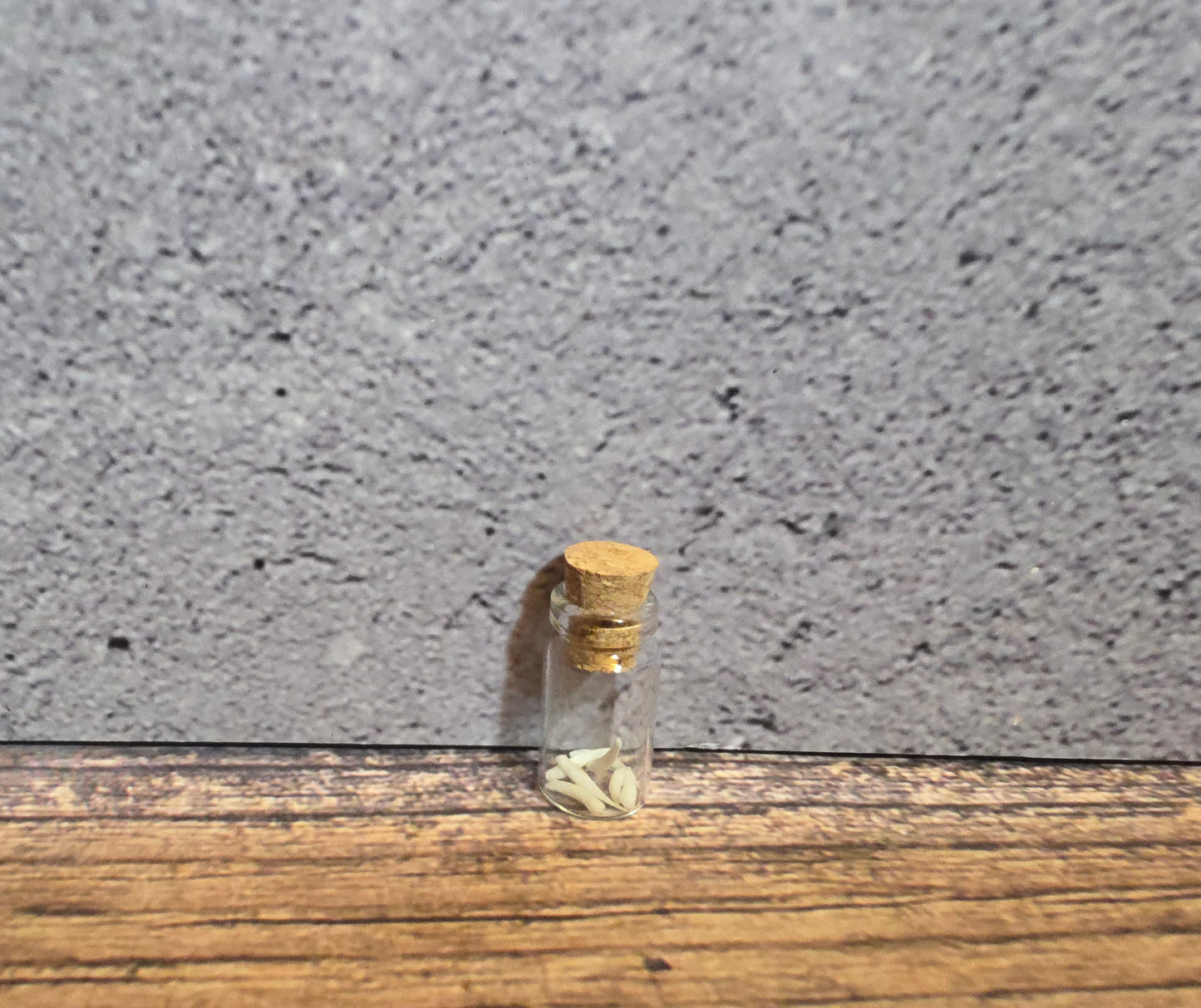 Possum Teeth Curio Vial