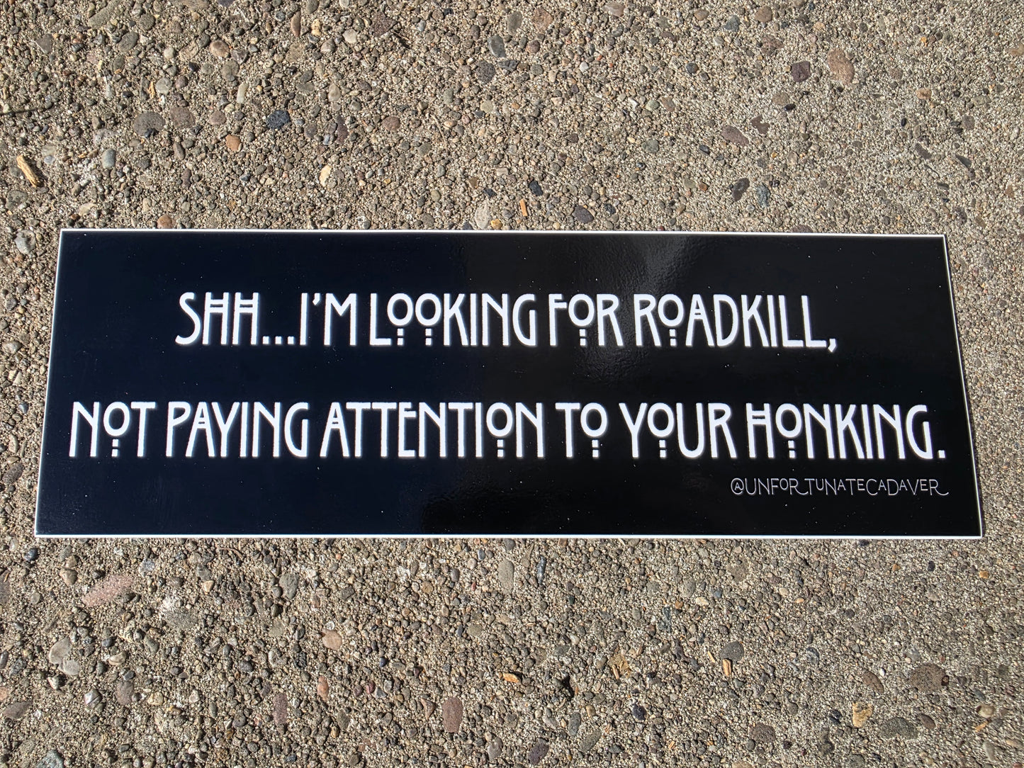 'Looking For Roadkill' Bumper Sticker