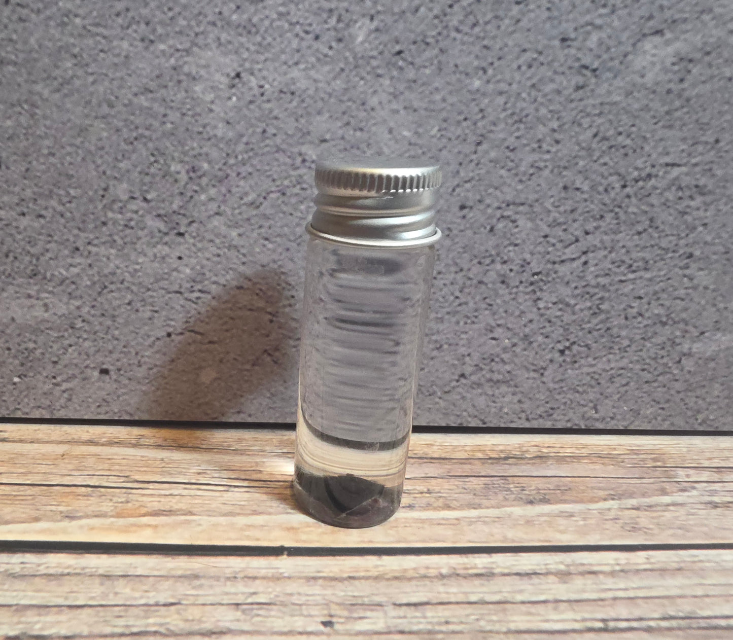 Tuxedo Kitten Nose Wet Specimen