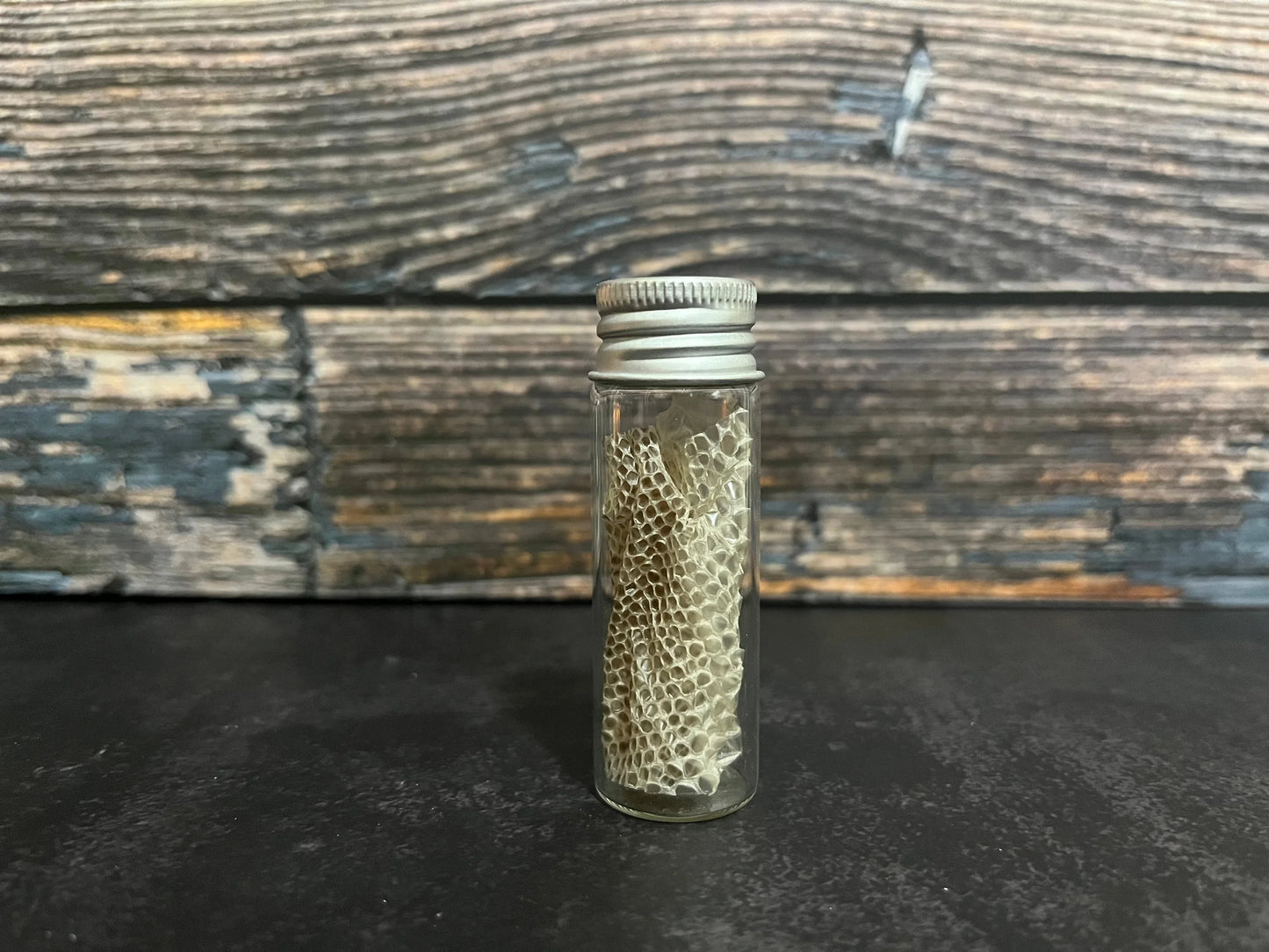 Snake Shed Curio Vial