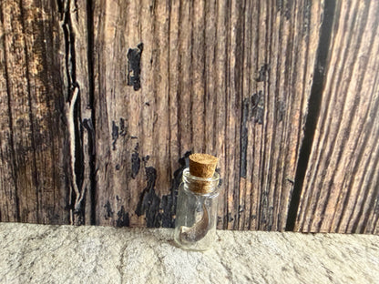 Raccoon Claw Curio Vial (Cork)