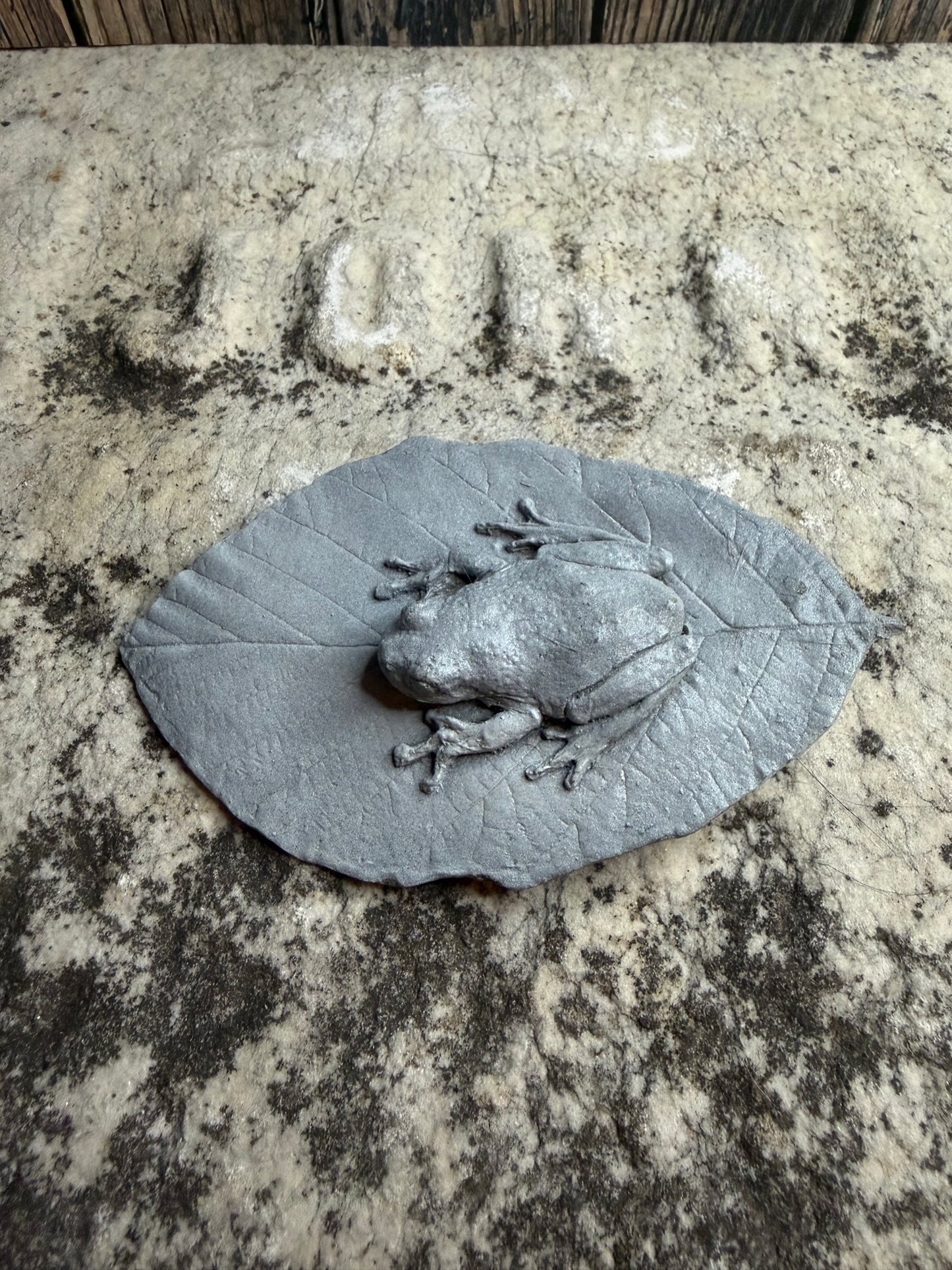 Poison Dart Frog Death Cast