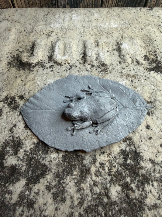 Poison Dart Frog Death Cast
