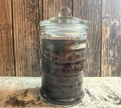 Eastern Rat Snake Wet Specimen