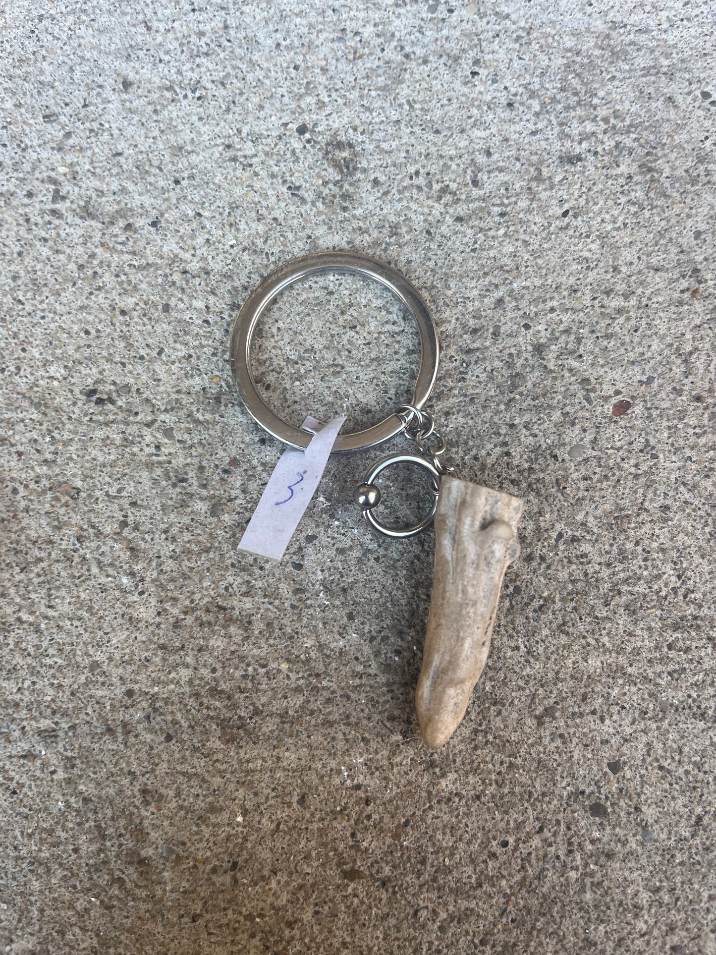 Deer Antler Keychain (14G CBR)