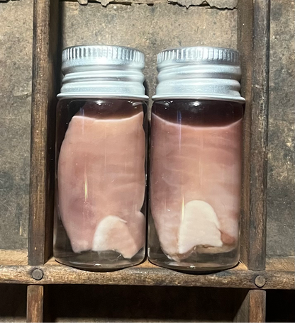 English Lop Rabbit Tongue Wet Specimen Vial