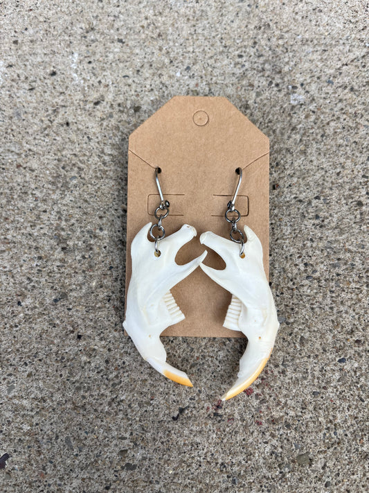 Muskrat Jawbone Earrings