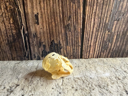 Tiny Rabbit Skull
