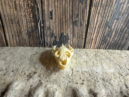 Turtle Skull (Lg.)