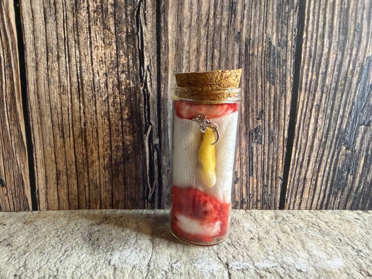 Human Tooth Necklace