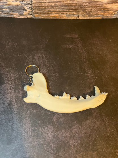 Domestic Dog Jawbone Keychain