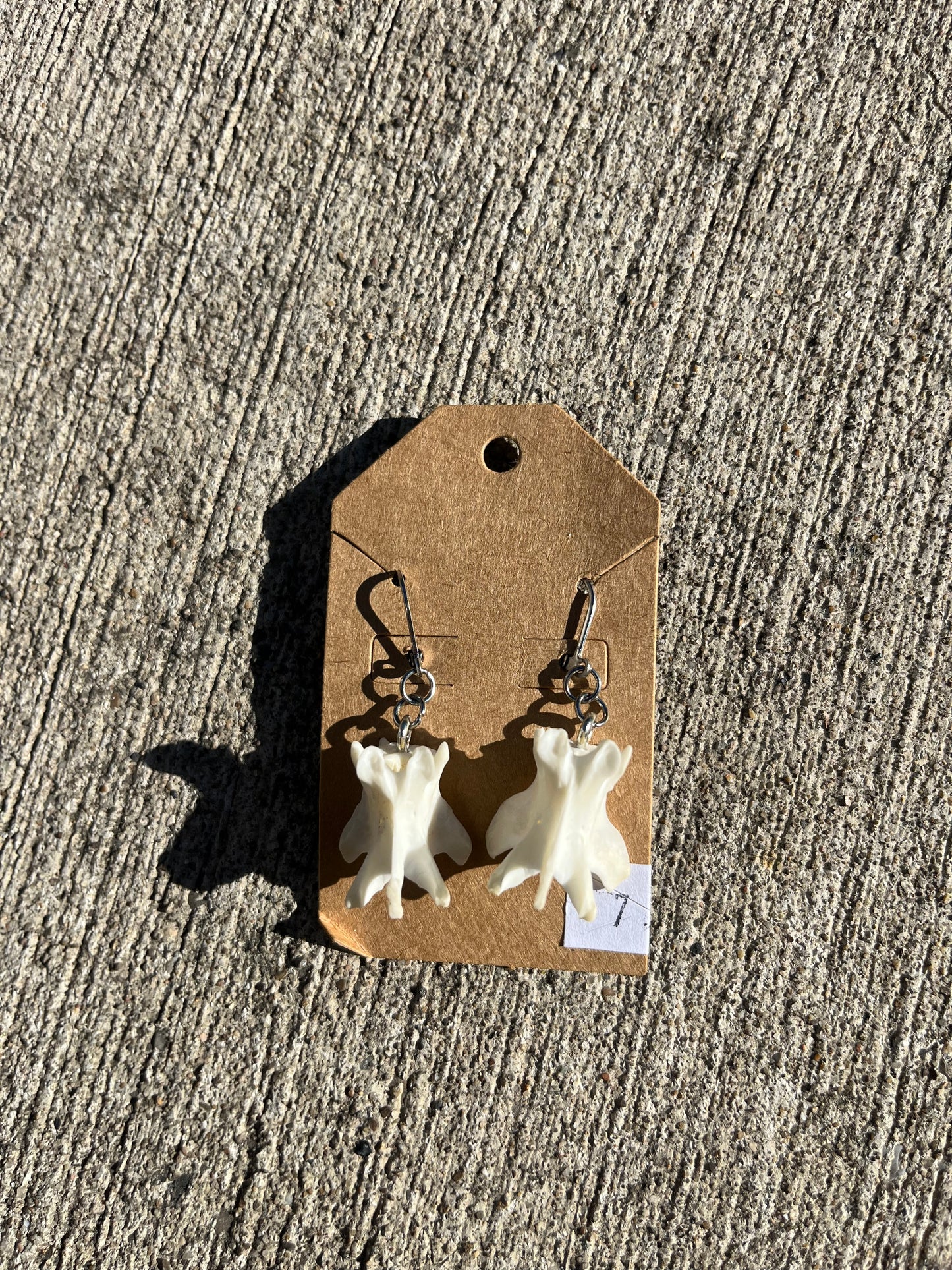 Mink Vertebrae Earrings (#7)