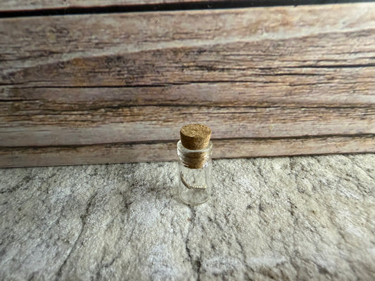 Dry Preserved Lizard Toe