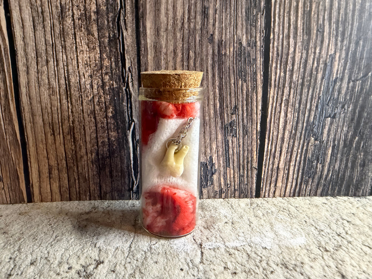 Human Tooth Necklace
