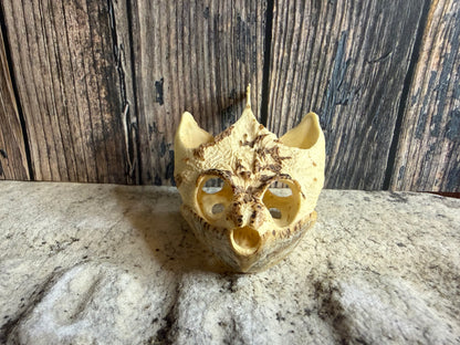 Snapping Turtle Skull (#2)